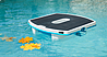 Dolphin Skimmi סקימר רובוטי סולארי וחכם