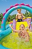 בריכת פעילות ארץ הדינוזאורים INTEX 57135