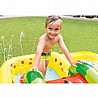 בריכת פעילות פירות 57158