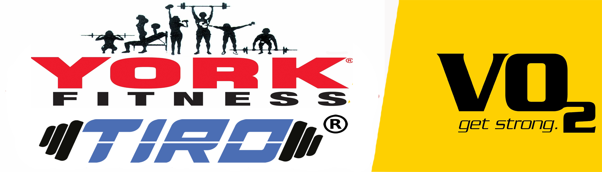 לוגו יורק ו vo2