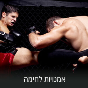 אומנויות לחימה